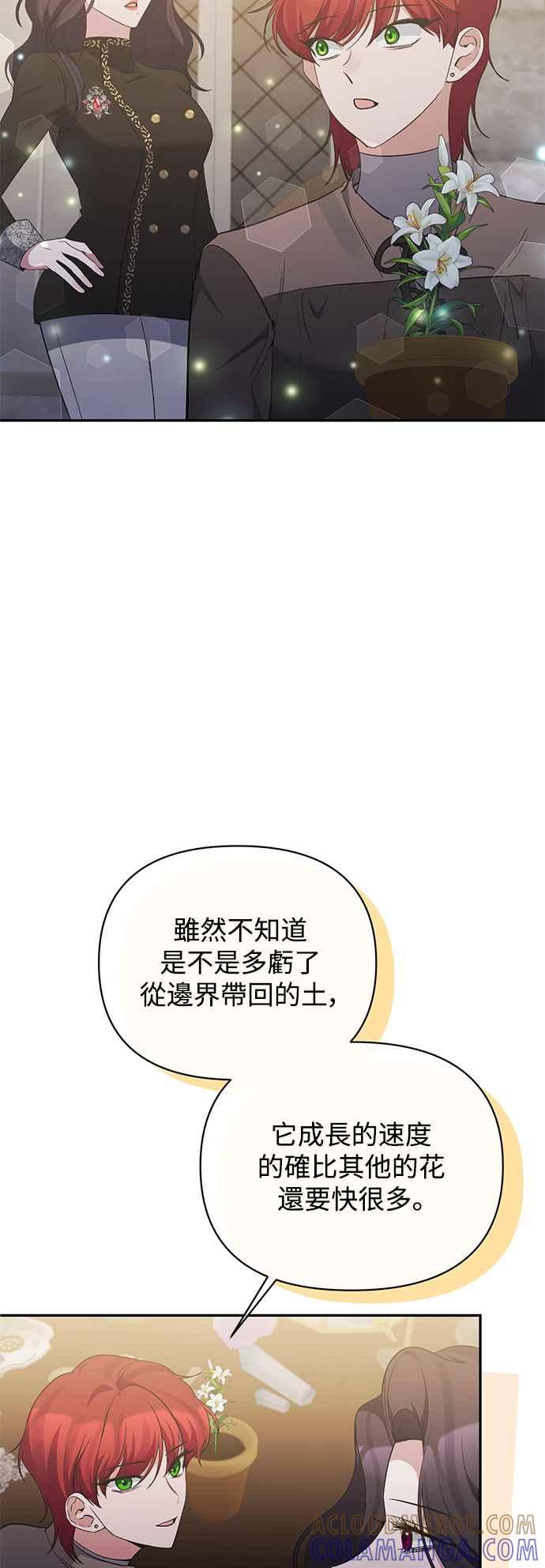 《北部大公竟然是幕后黑手》第91话 第19页