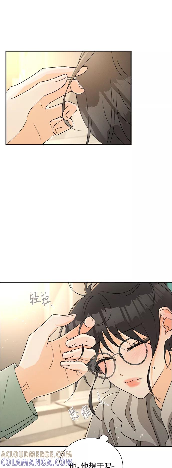 《仲夏，夜之梦》[第71话] 芒果色郁金香(10) 第4页