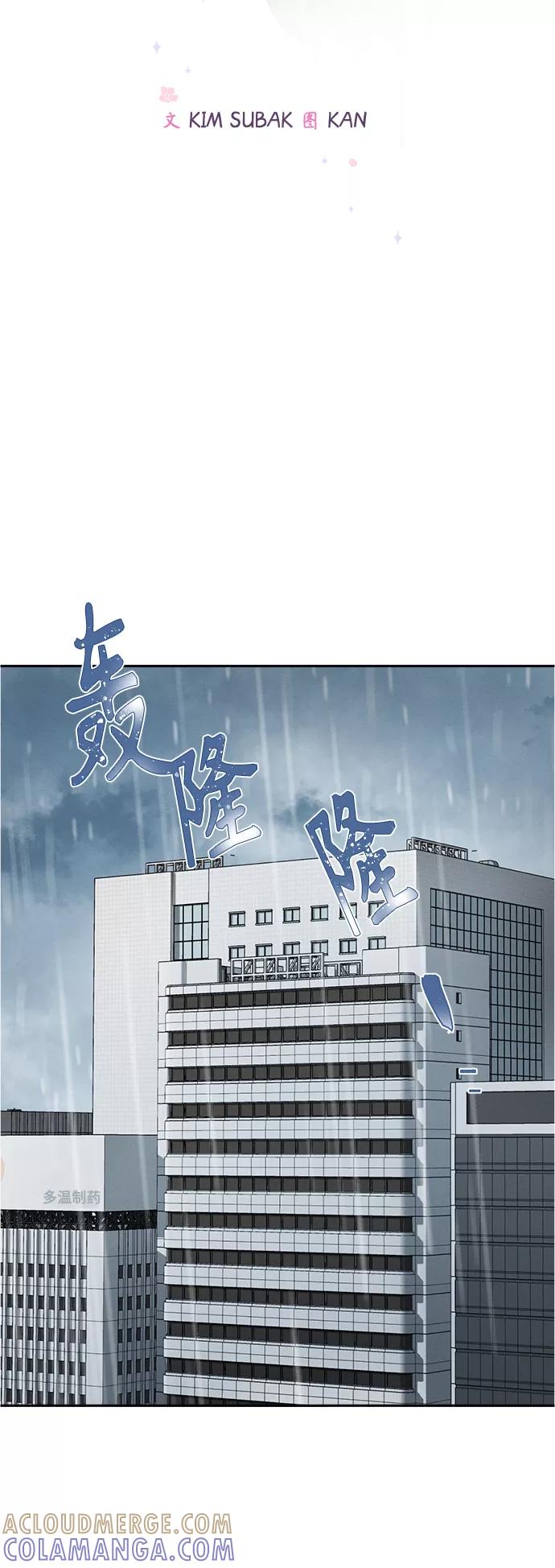 《仲夏，夜之梦》[第73话] 芒果色郁金香(12) 第19页