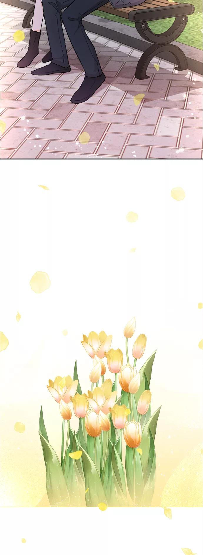 《仲夏，夜之梦》[第74话] 芒果色郁金香(13) 第51页
