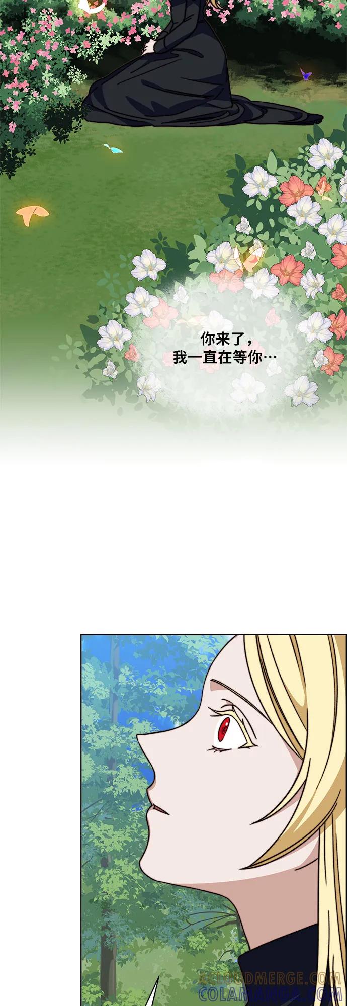 《冬青树下的誓约》第60话 第43页