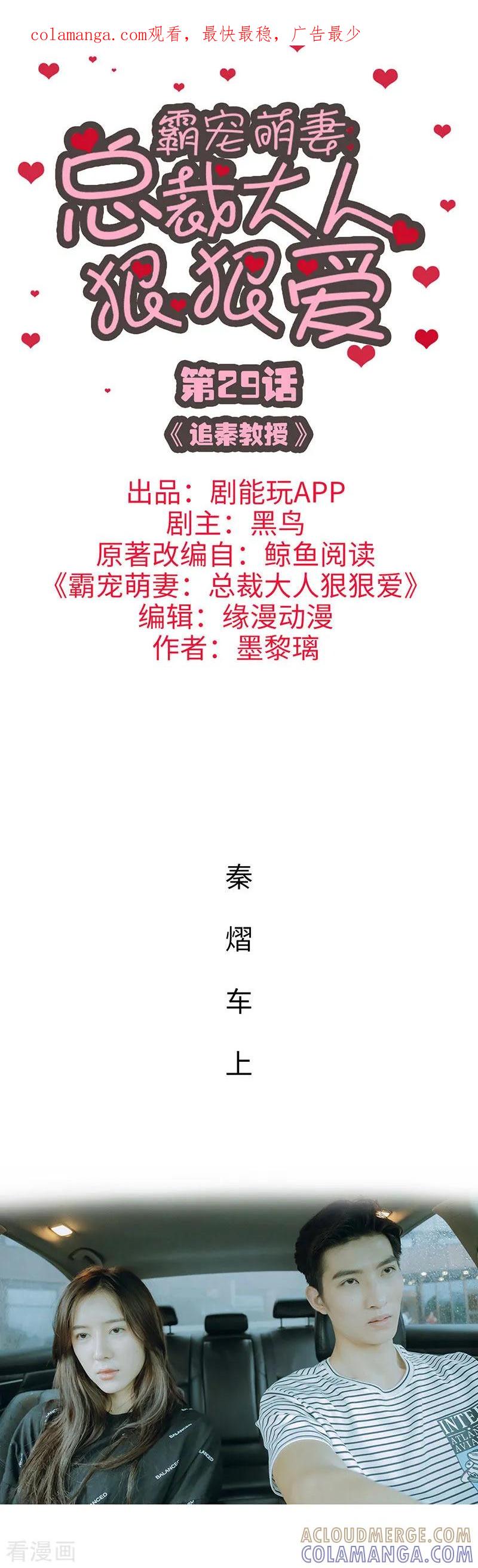 《霸宠萌妻：总裁大人狠狠爱》第29话 第1页