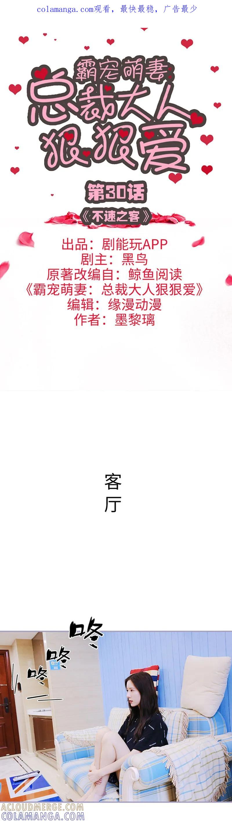 《霸宠萌妻：总裁大人狠狠爱》第30话 第1页