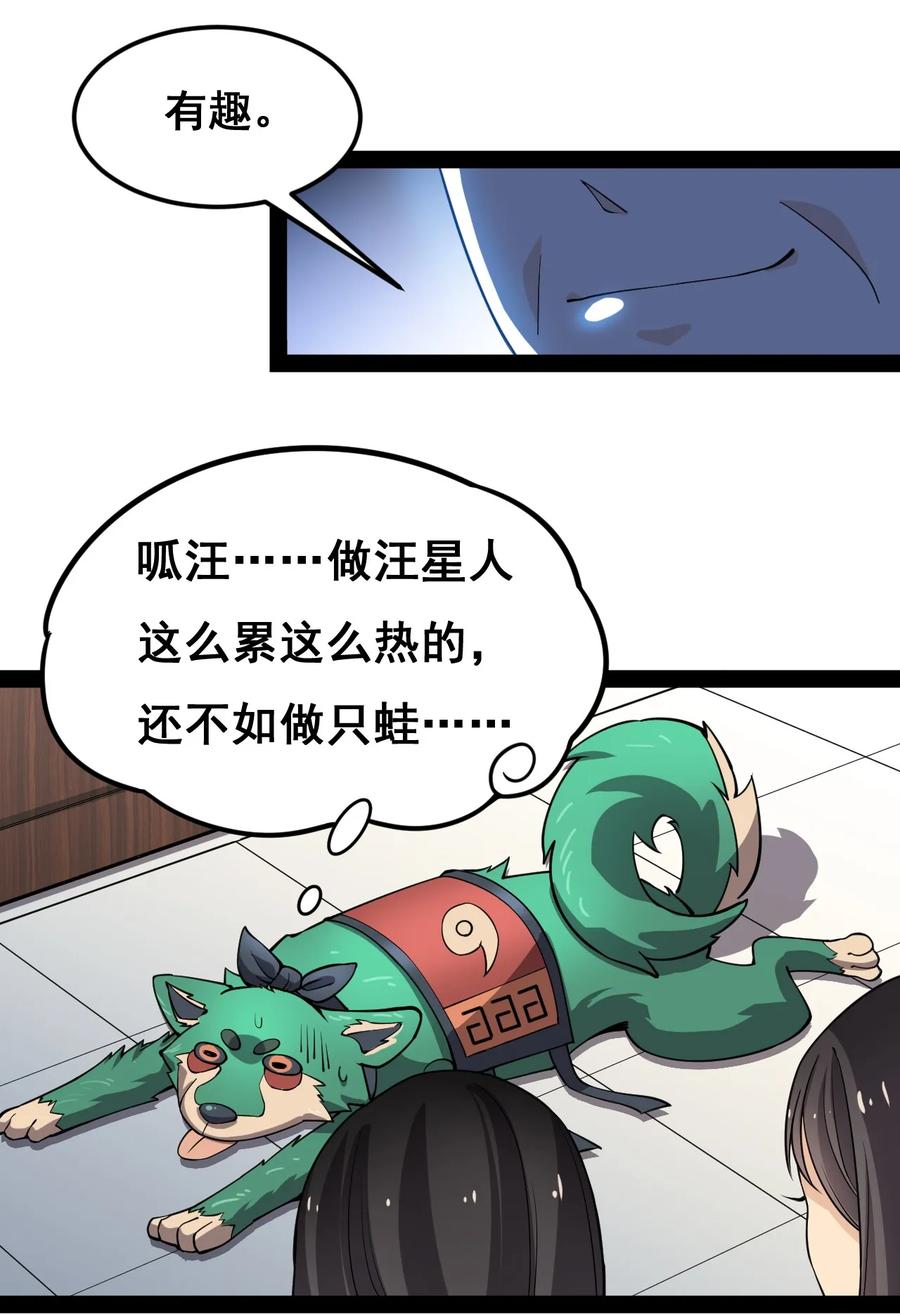 《仙王的日常生活》007 球球你，放过我 第29页