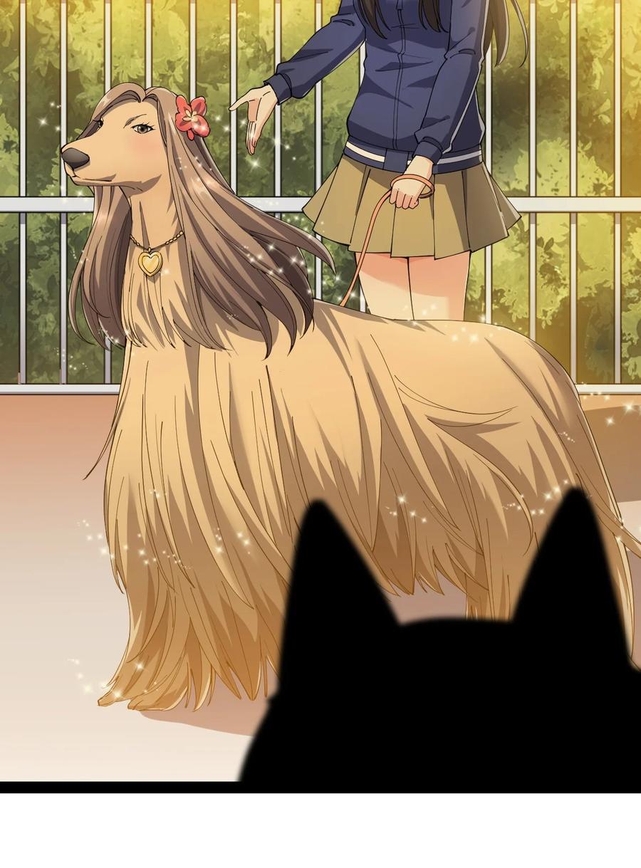 《仙王的日常生活》113 孙蓉的异想世界 第27页