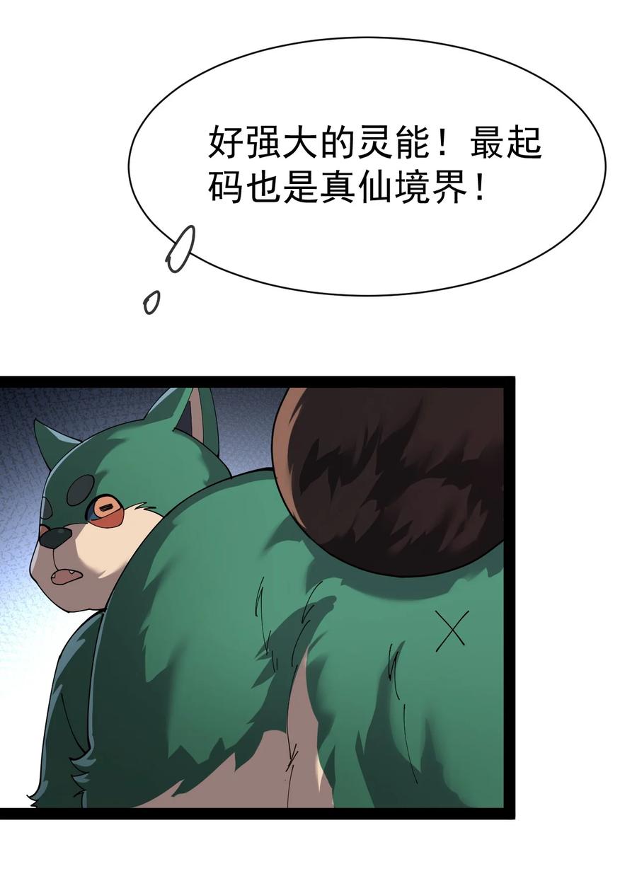 《仙王的日常生活》129 异界之门 第11页