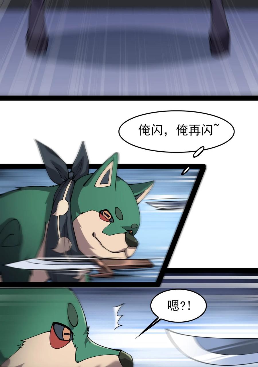 《仙王的日常生活》016 狗？蛤？傻傻分不清楚 第12页
