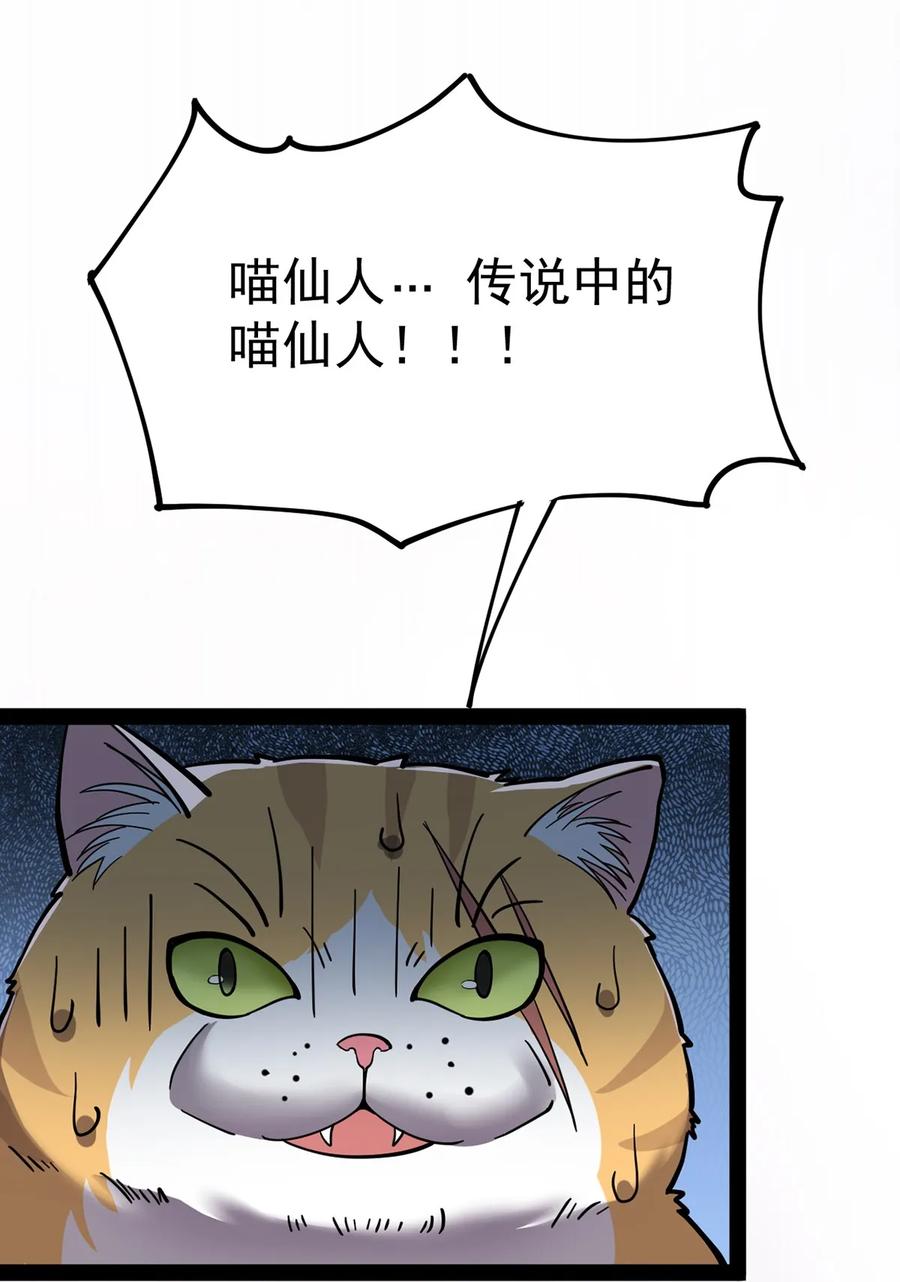 《仙王的日常生活》034 喵喵喵？？ 第44页