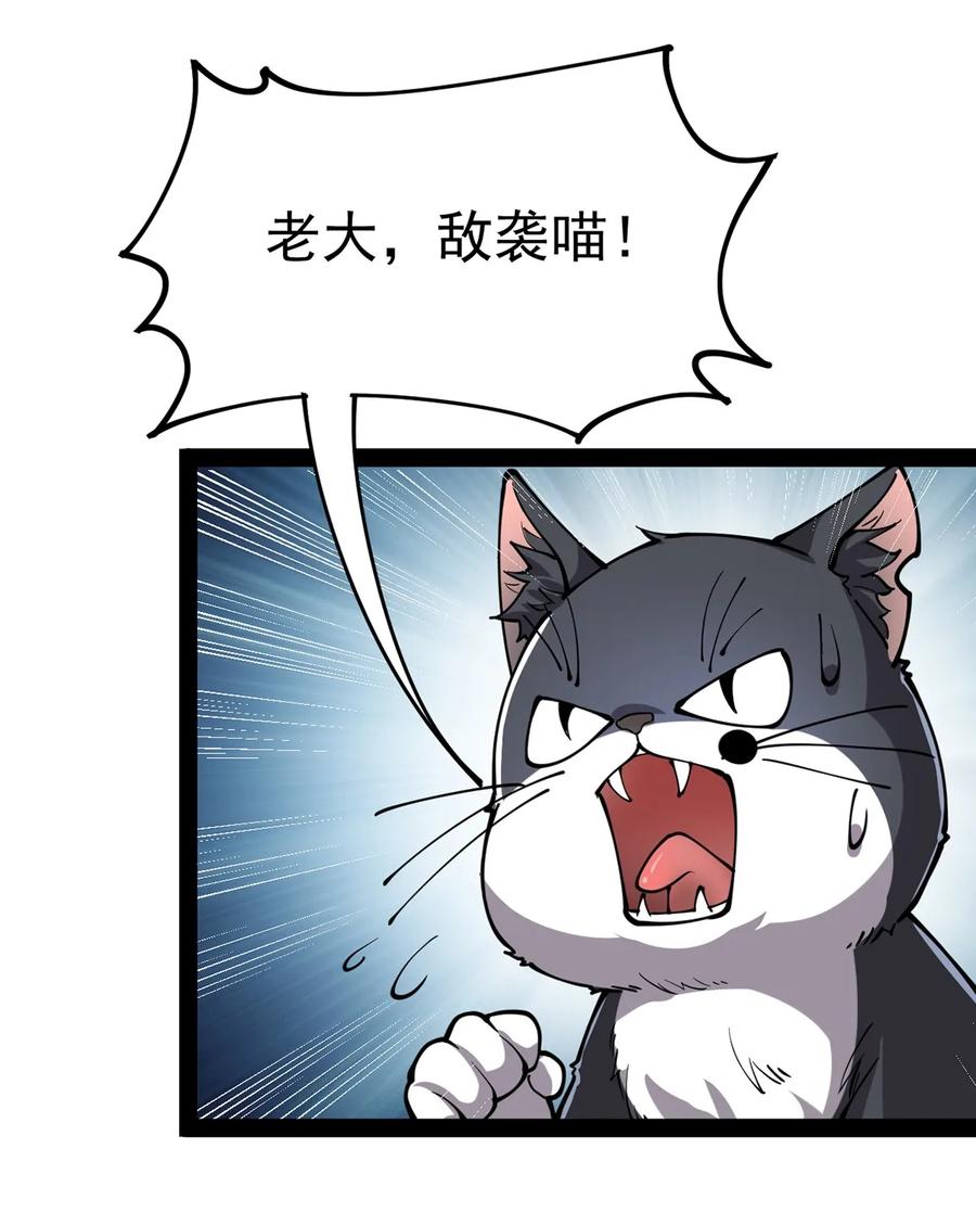《仙王的日常生活》034 喵喵喵？？ 第34页
