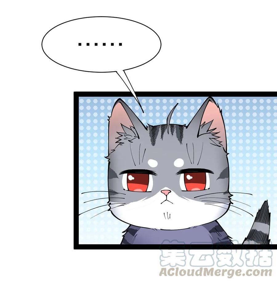 《仙王的日常生活》034 喵喵喵？？ 第29页