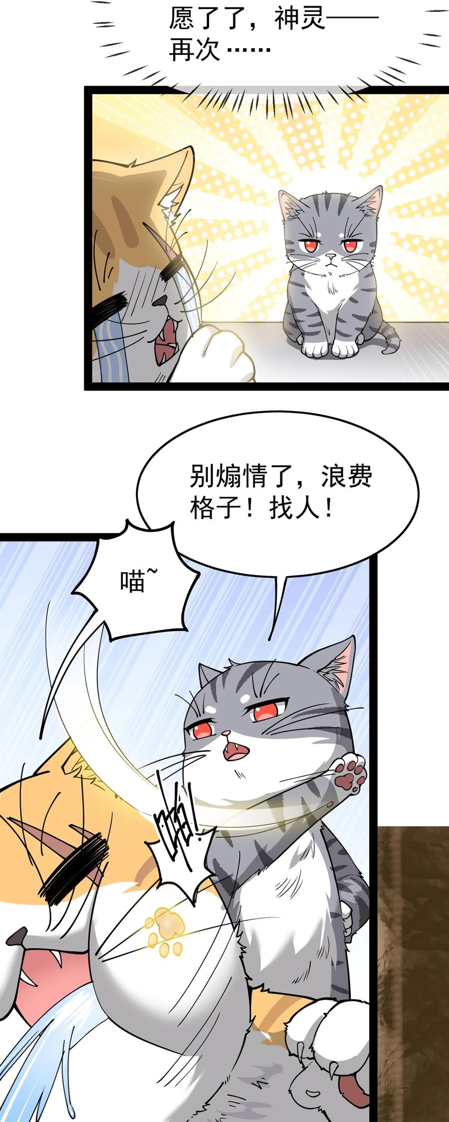 《仙王的日常生活》035 你们到底有什么阴谋 第11页