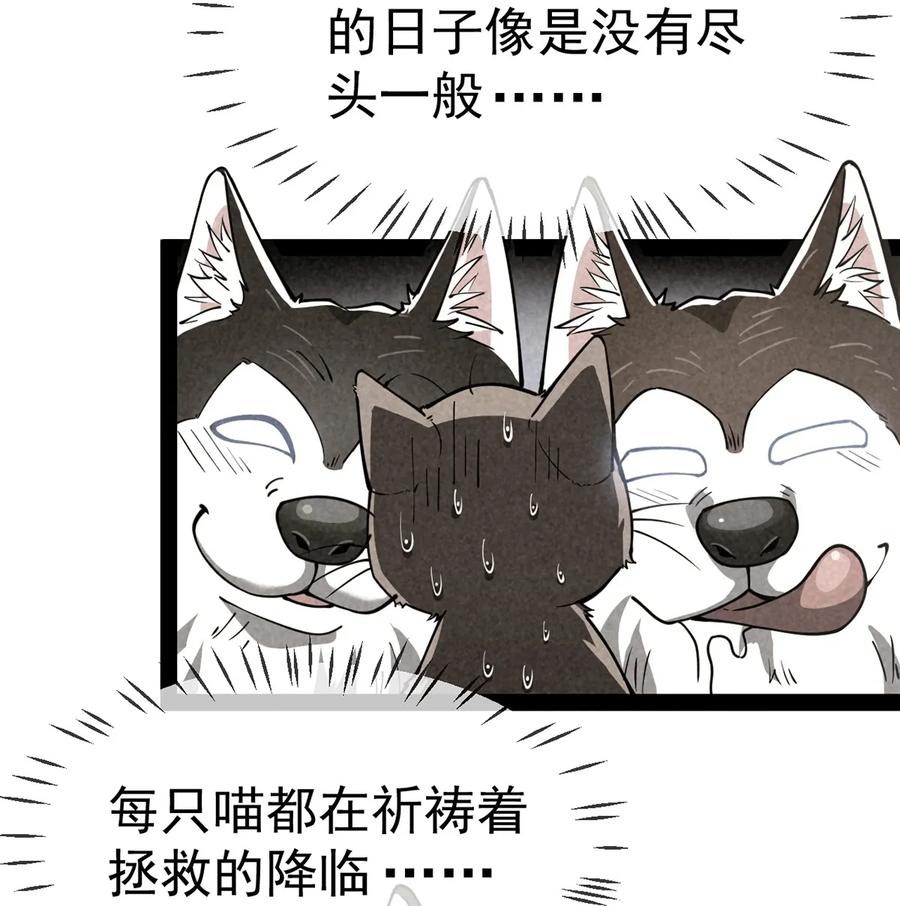 《仙王的日常生活》035 你们到底有什么阴谋 第4页