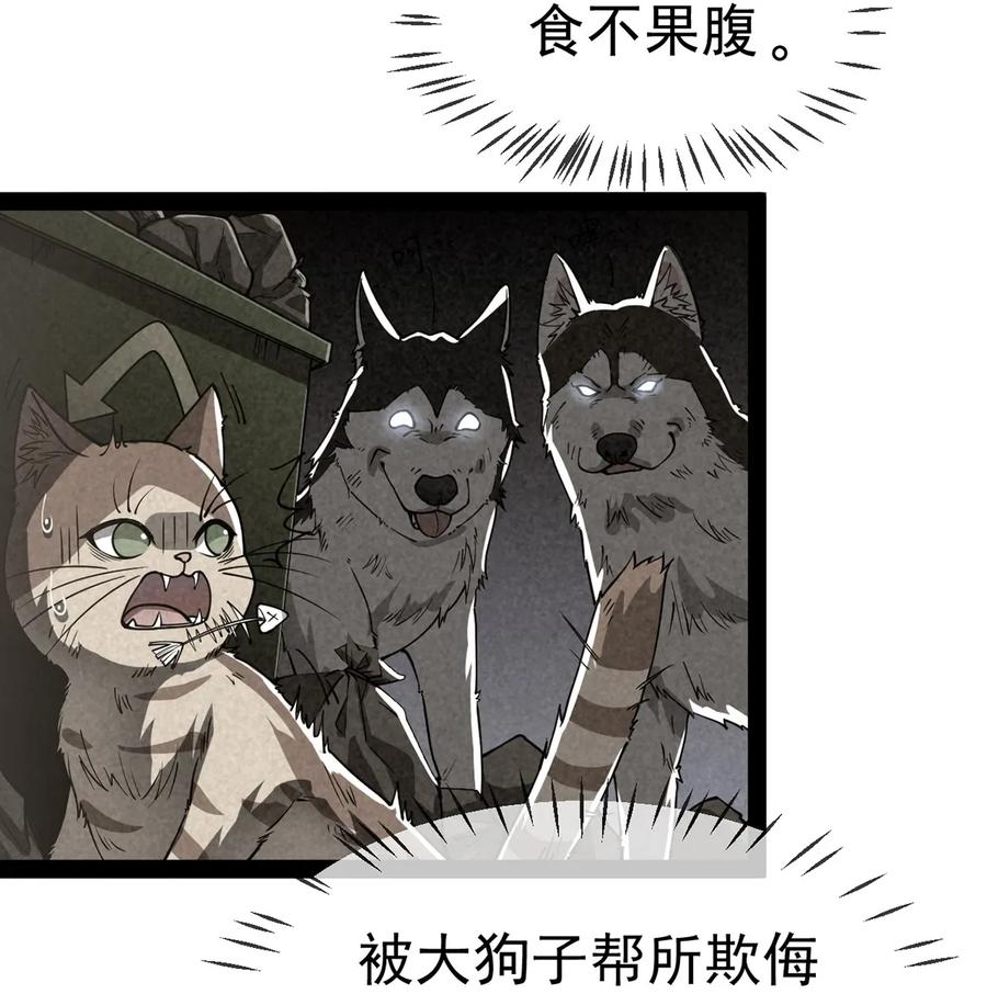 《仙王的日常生活》035 你们到底有什么阴谋 第3页
