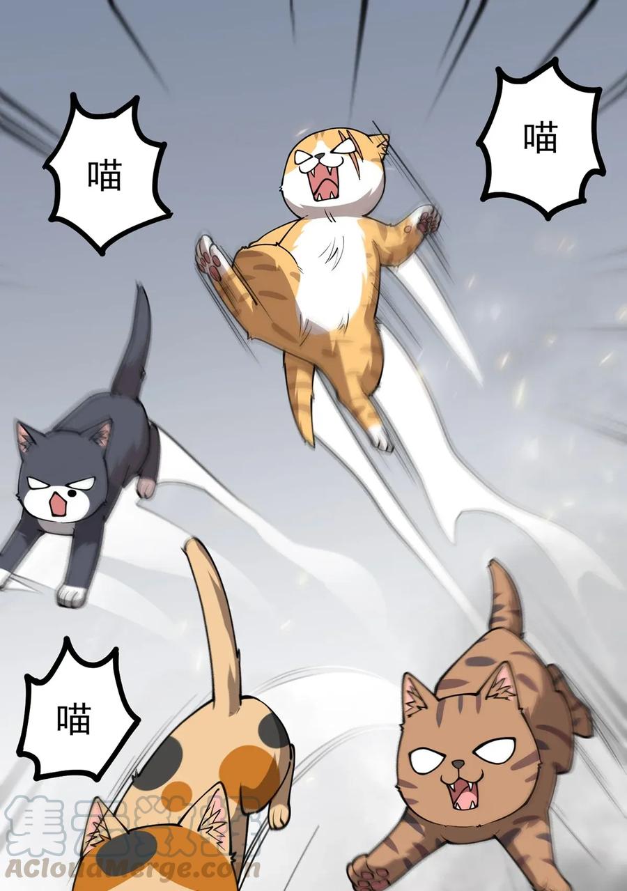 《仙王的日常生活》036 喵仙人出场！ 第9页