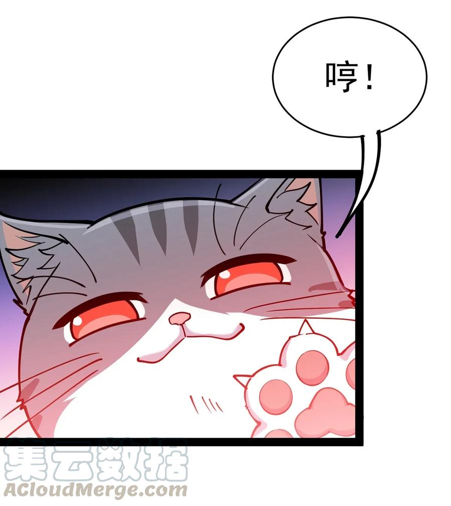 《仙王的日常生活》036 喵仙人出场！ 第37页