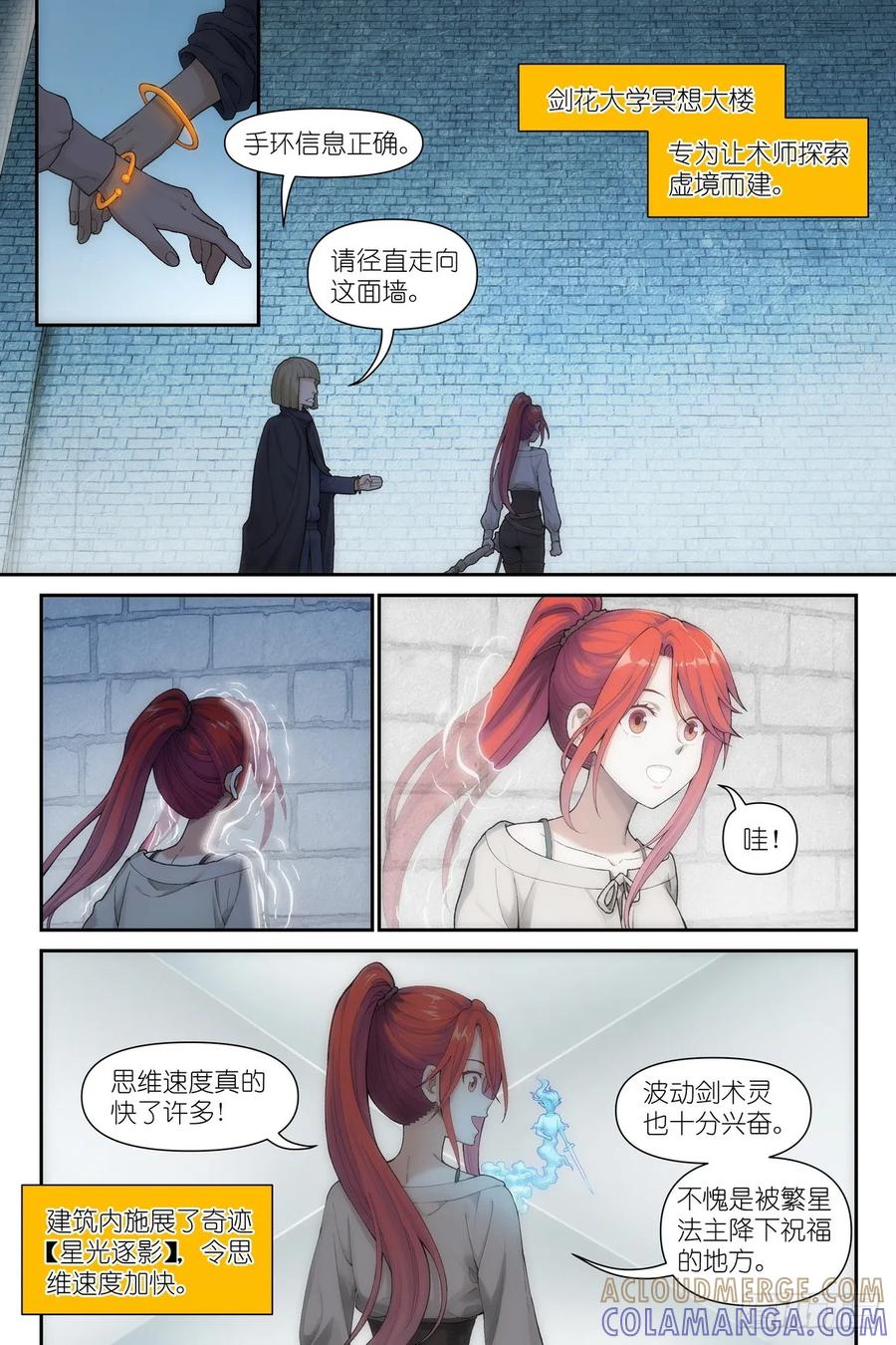 《术师手册》第16话：观者？剑姬？ 第17页