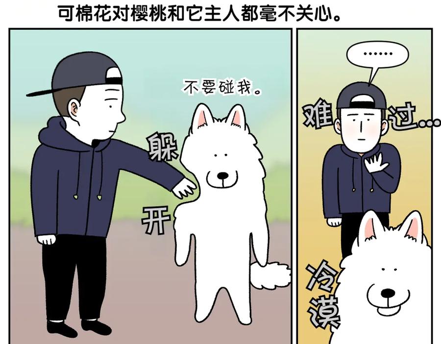 《我的狗子叫棉花》第51话 没有狗狗就互不相识的人们 第11页