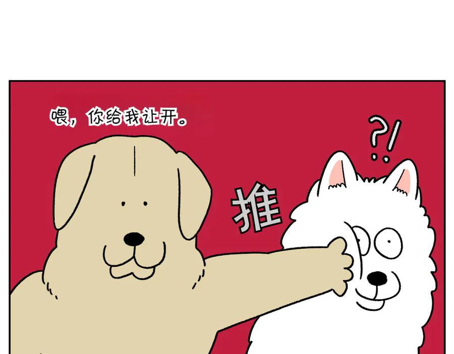 《我的狗子叫棉花》第51话 没有狗狗就互不相识的人们 第8页