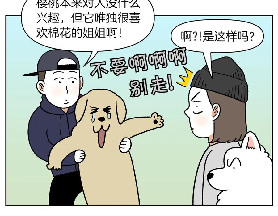 《我的狗子叫棉花》第51话 没有狗狗就互不相识的人们 第14页