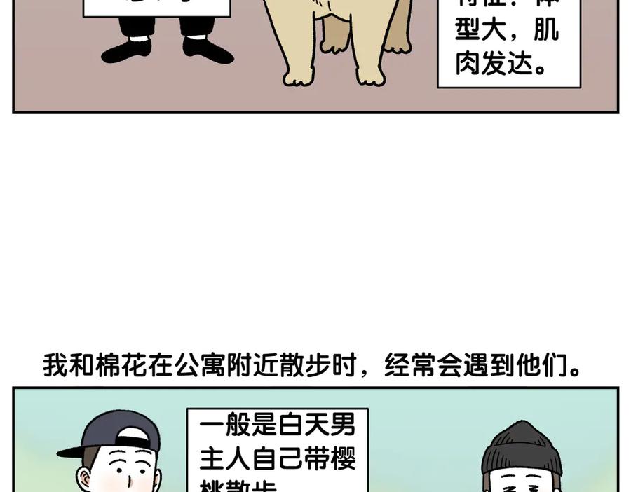 《我的狗子叫棉花》第51话 没有狗狗就互不相识的人们 第6页