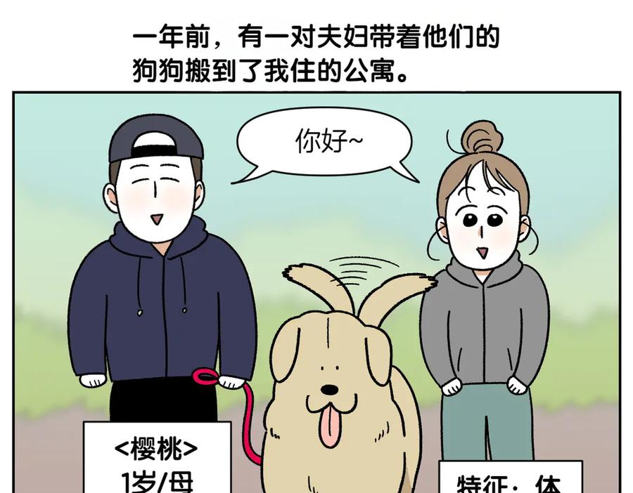 《我的狗子叫棉花》第51话 没有狗狗就互不相识的人们 第5页