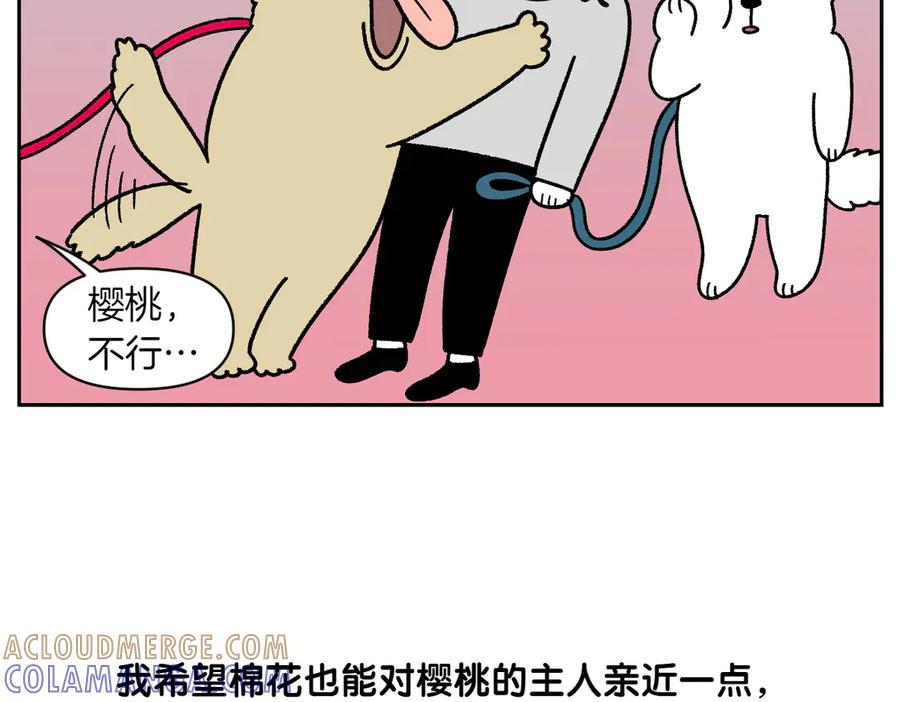 《我的狗子叫棉花》第51话 没有狗狗就互不相识的人们 第10页