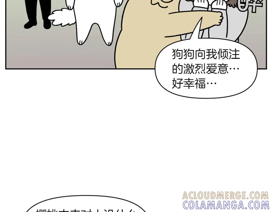 《我的狗子叫棉花》第51话 没有狗狗就互不相识的人们 第13页