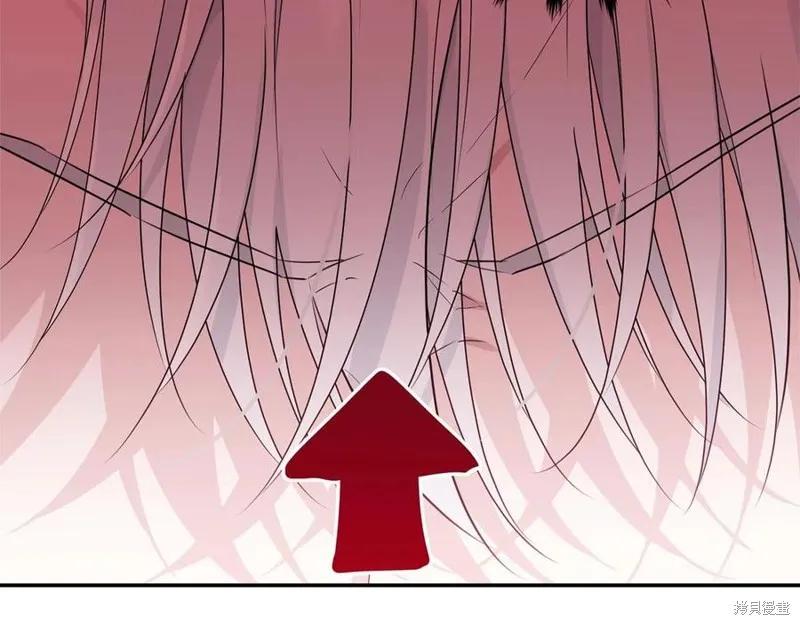 《明明是冷美人小姐却变成了忠犬大少爷》第78话 第20页