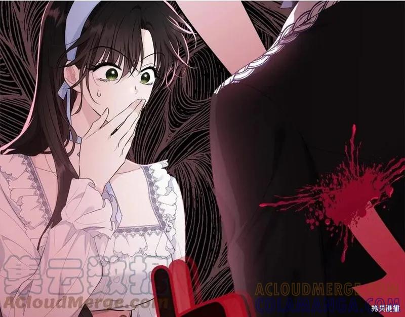 《明明是冷美人小姐却变成了忠犬大少爷》第78话 第17页