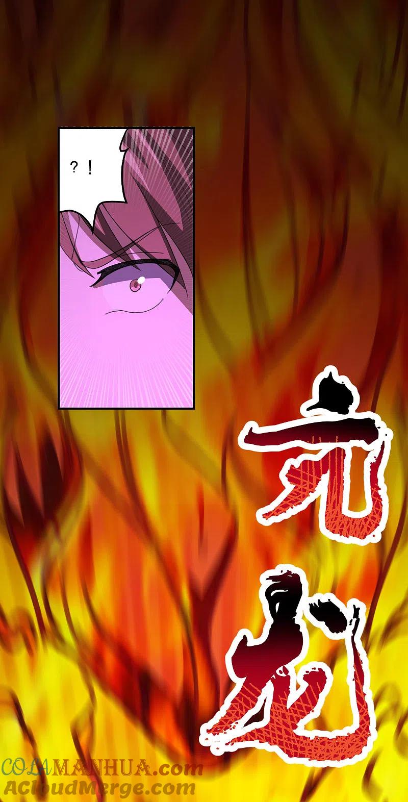 11.jpg