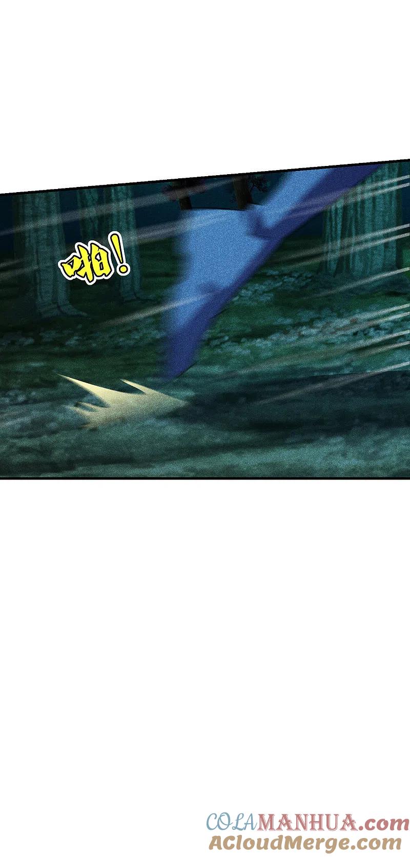 29.jpg