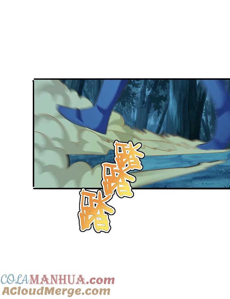 29.jpg