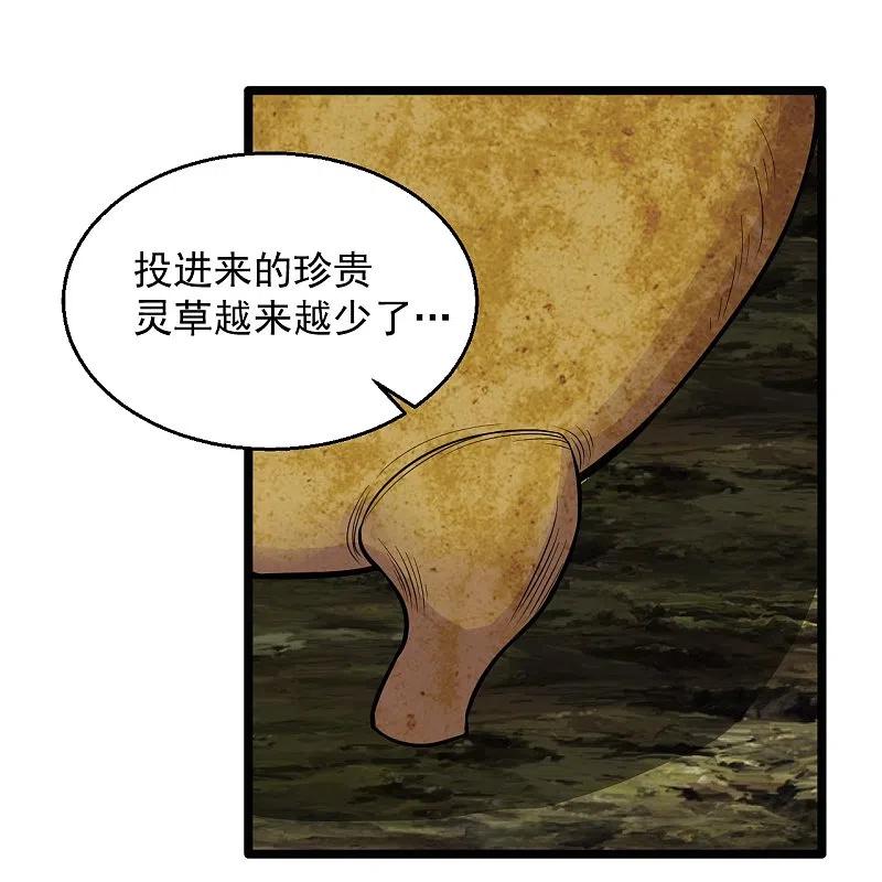 26.jpg