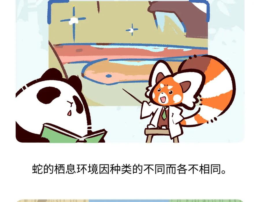 《胖达x胖达》第249话 第20页