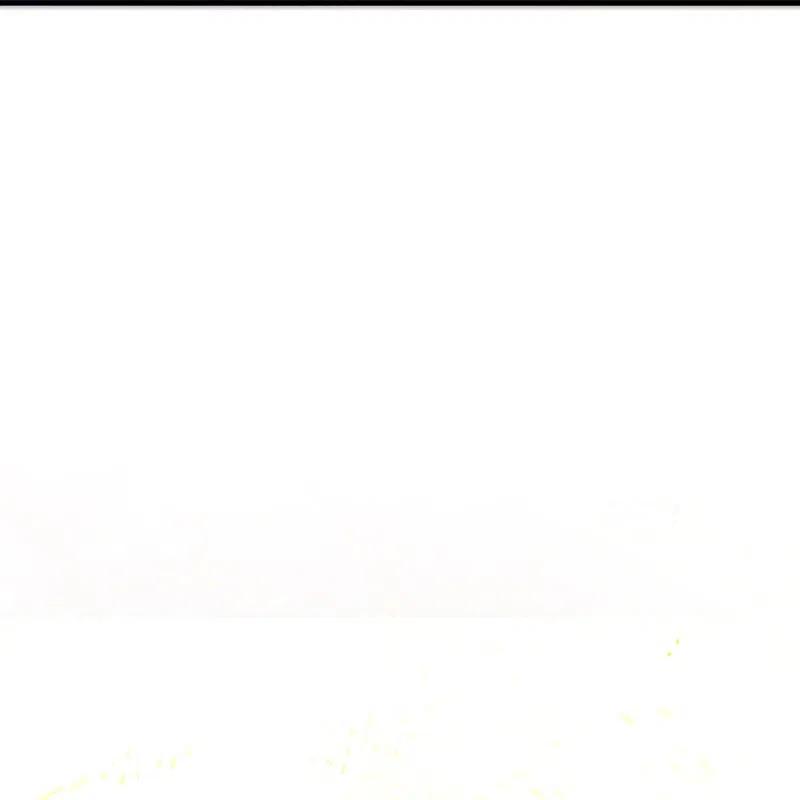63.jpg