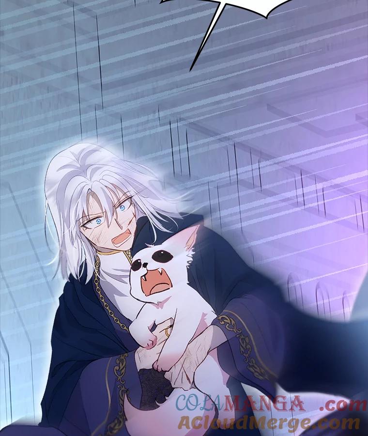 重生为神兽宝宝 - 42.意外的相遇 - 第49张图