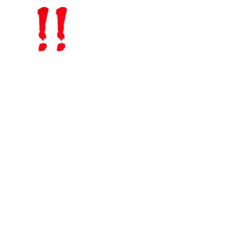 97.jpg