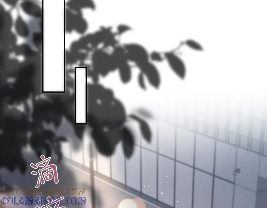 【快穿】绝美白莲在线教学 446 你欠我的 第22页