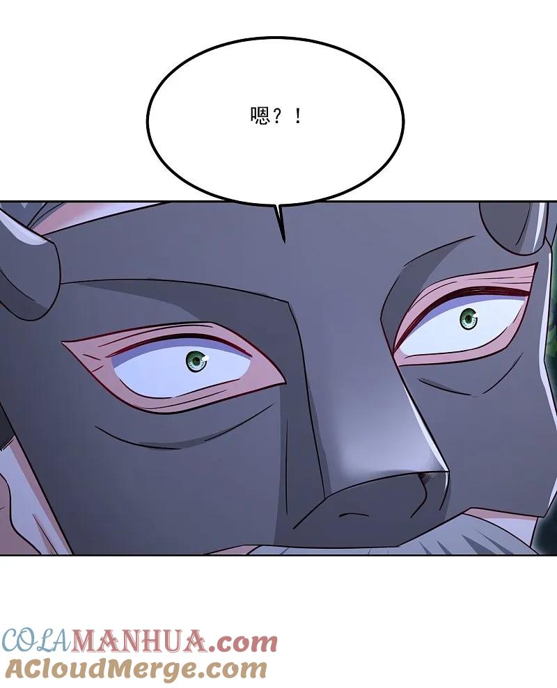 46.jpg