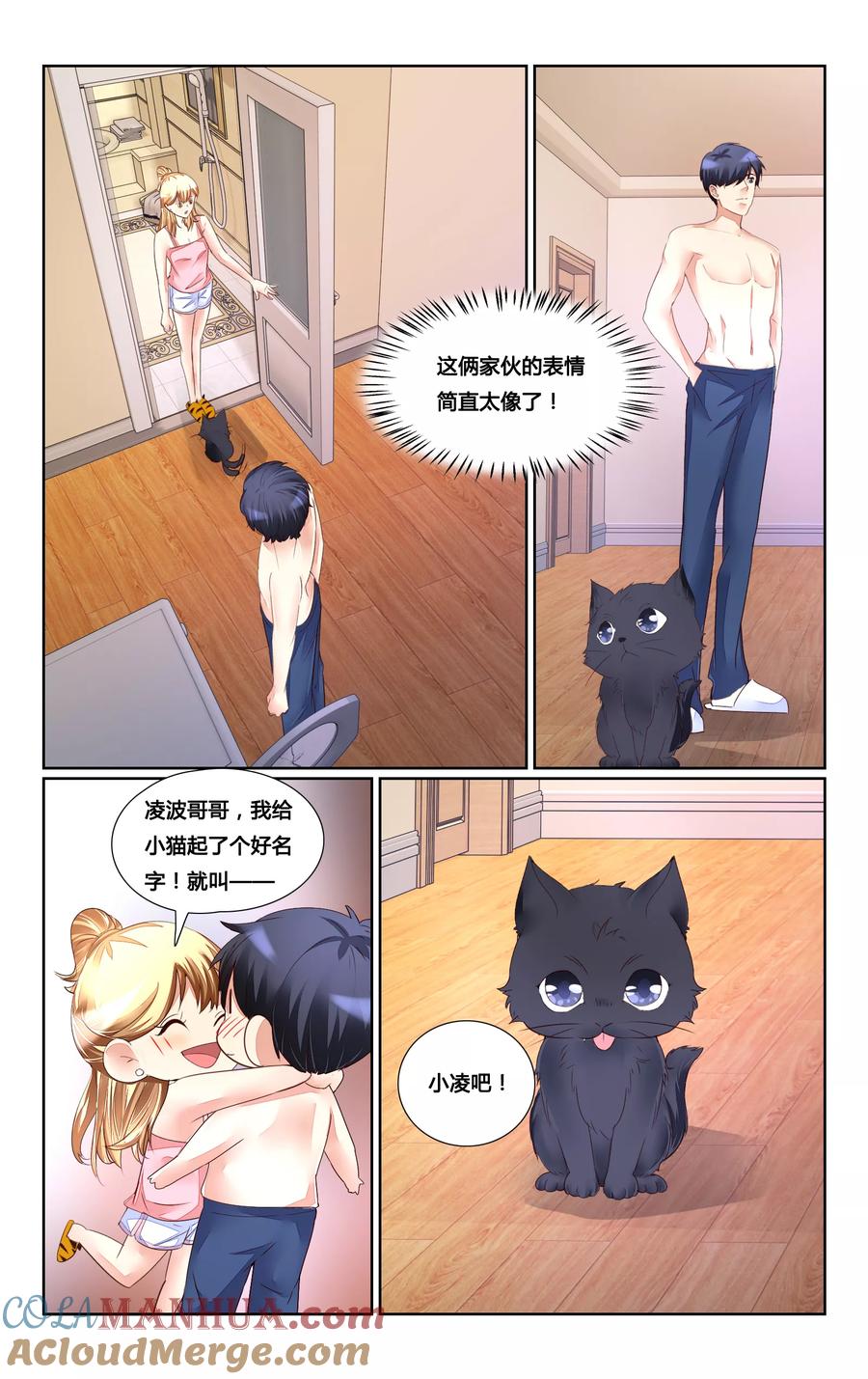 恶魔总裁专宠妻 第163话 第6页