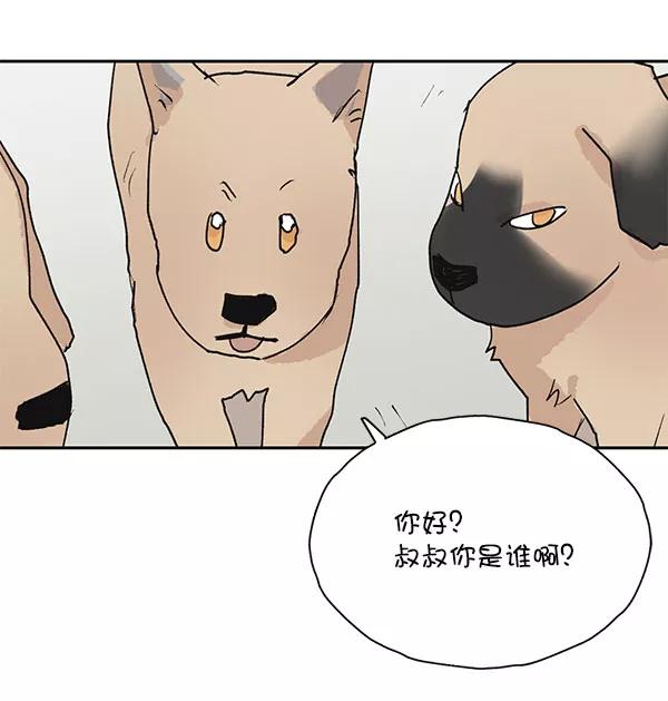 《愿与你共度余生》第47话 第41页
