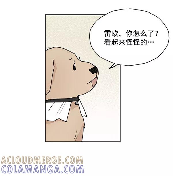 《愿与你共度余生》第47话 第10页