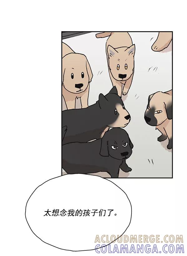 《愿与你共度余生》第47话 第40页