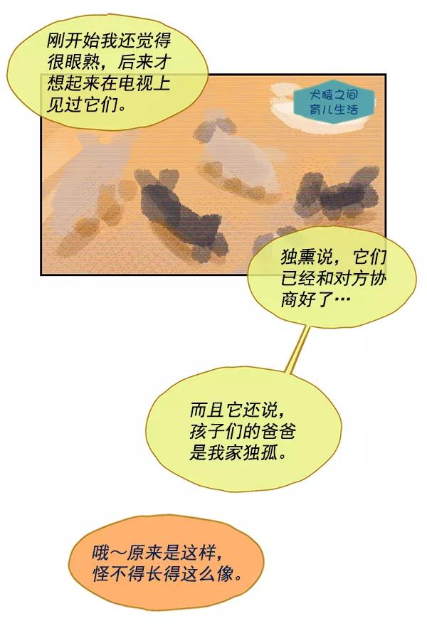 《愿与你共度余生》第48话 第47页