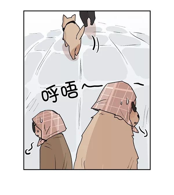 《愿与你共度余生》第49话 第44页