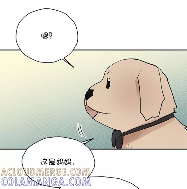 《愿与你共度余生》第50话（最终话） 第19页