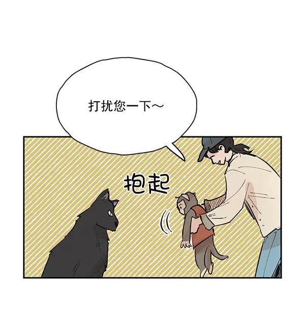 《愿与你共度余生》第50话（最终话） 第8页
