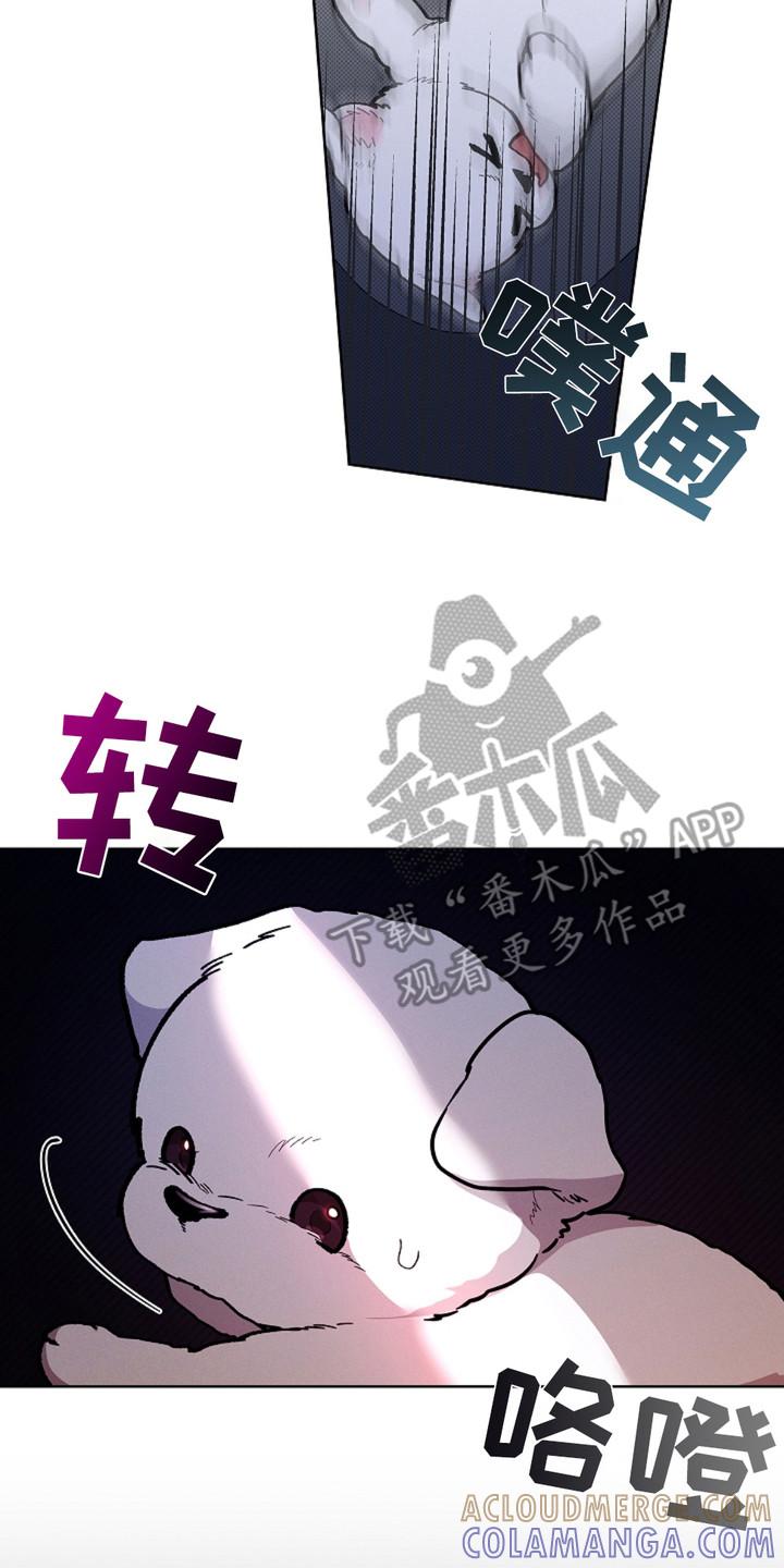 23.jpg