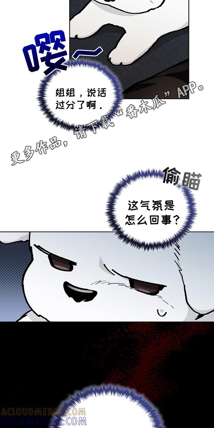 11.jpg