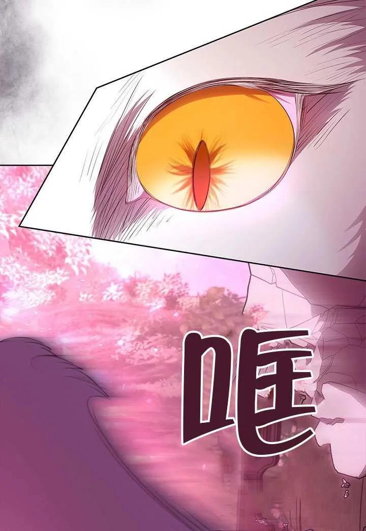 我拒绝了宠爱，为什么还要执着啊 第45话 第74页